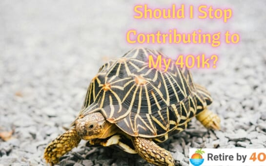 Should I Stop Contributing to My 401k?