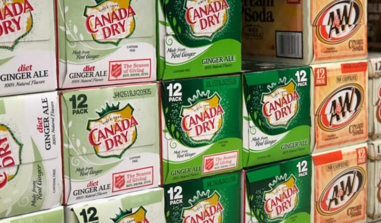 Soda 12-Packs from $3.92 Shipped on Amazon | Canada Dry, Sunkist, & More