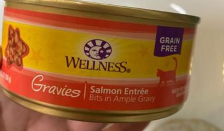 Wellness Gravies Canned Cat Food 12-Pack Just $4.99 Shipped on Amazon (Reg. $23)