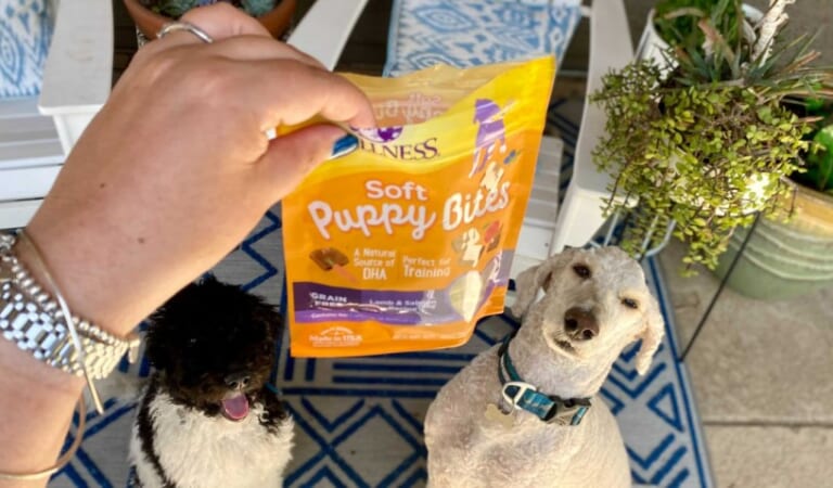 Wellness Soft Puppy Bites Natural Grain-Free Dog Treats Only $1.49 Shipped on Amazon (Reg. $5)