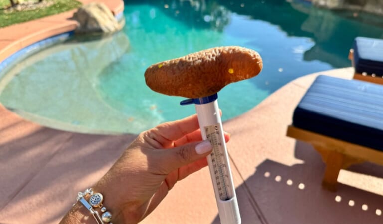 Floating Poop Thermometer For Pool Just $11.99 on Amazon (Trick Your Guests!)