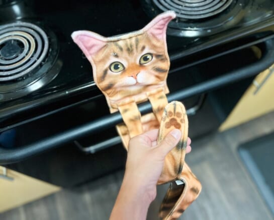 a goofy cat hand towel hanging from an oven