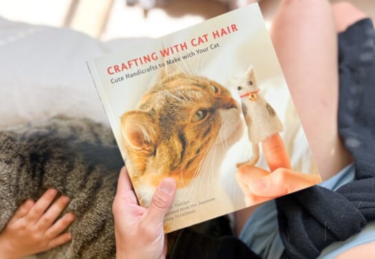hand holding the Crafting with Cat Hair book that is available on Amazon