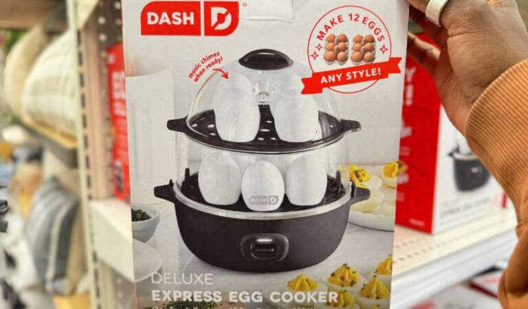 Dash Deluxe Express Egg Cooker Possibly Only $10.99 at Target – Makes Perfect Eggs Every Time!