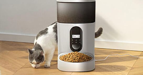 white and gray pet dispenser with food with gray and white cat behind it