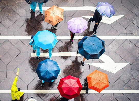 People with umbrellas crossing the street